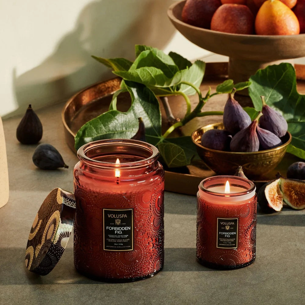 VOLUSPA Forbidden Fig 100hr Candle