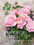 Vintage Roses: Beautiful Varieties for Home and Garden