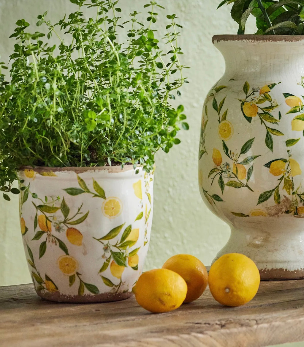 Botanical Lemon Pot Large