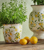 Botanical Lemon Pot Large