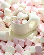 Lola Chubby Mug & Saucer Set - White