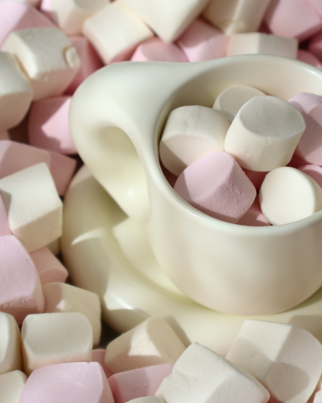 Lola Chubby Mug & Saucer Set - White