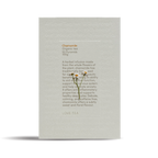 Chamomile Pyramid Tea Bags