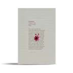 Immunity Pyramid Tea Bags