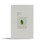 Peppermint Pyramid Tea Bags