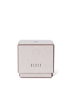 Mushroom Incense Holder