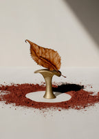 Mushroom Incense Holder