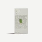 Peppermint Pyramid Tea Bags