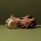 NEW Traditional Dish Brush