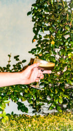 Ribbed Coupe Glasses - Set of 2