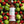 STRAWBERRY DAIQUIRI - Cocktail Mixer