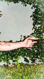 Ribbed Coupe Glasses - Set of 2