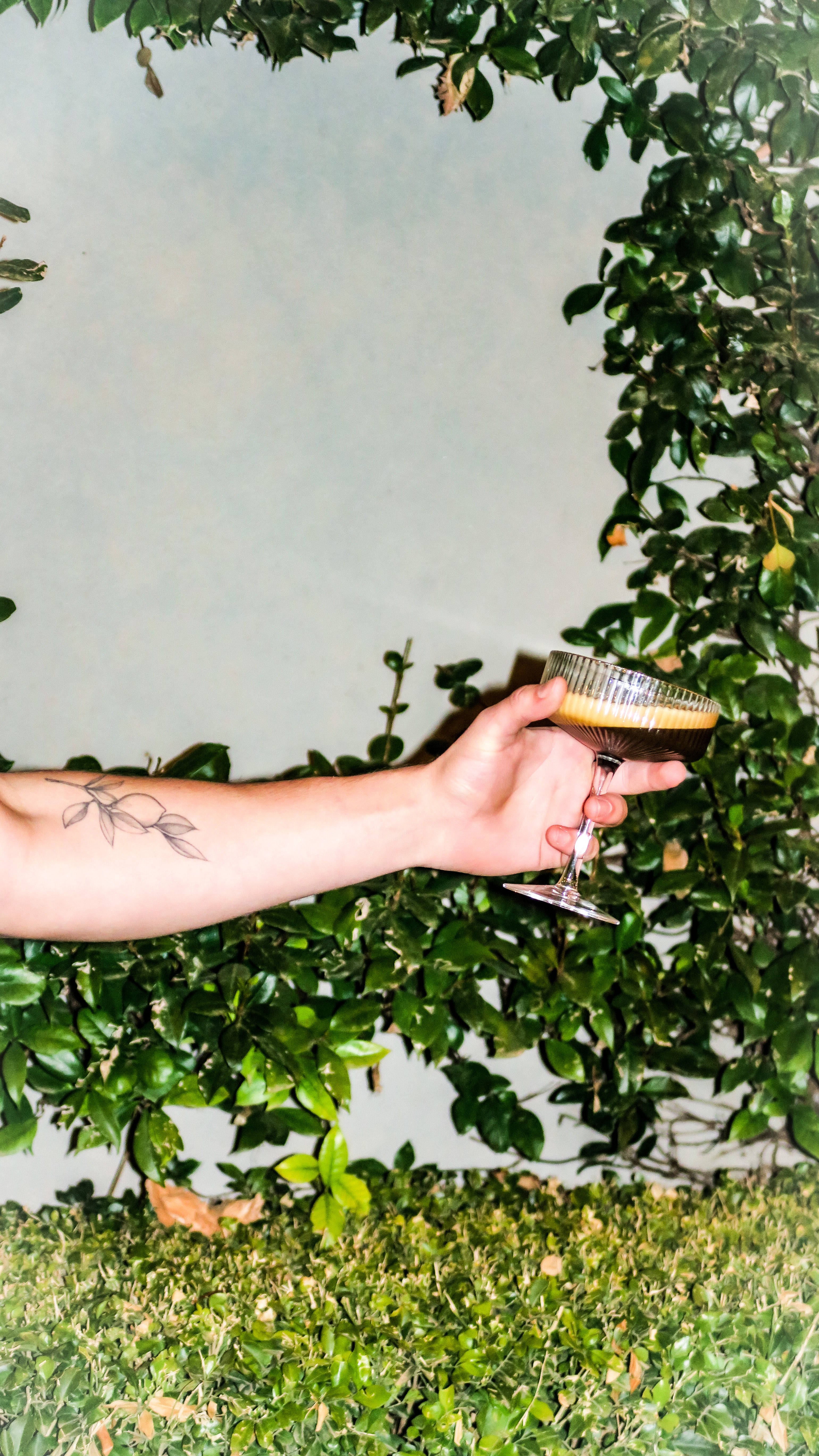 Ribbed Coupe Glasses - Set of 2