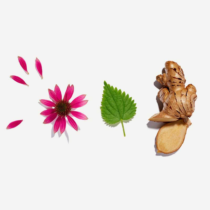 Immunity Pyramid Tea Bags