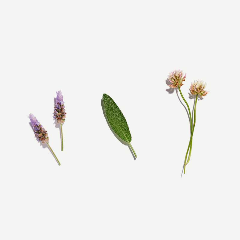 Womens Wellness Loose Leaf Tea