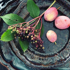 ARABESQUE Assiett - Fig