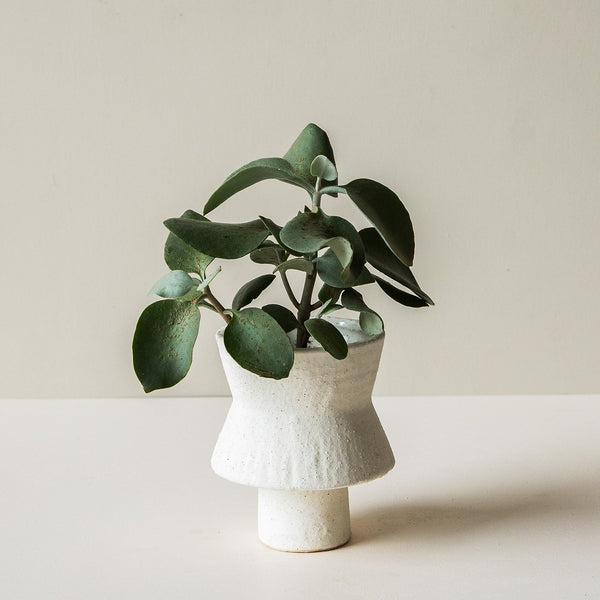 Sascha Vase - Off White - Small