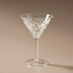 Flemington Acrylic Martini Glass - Clear