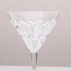 Flemington Acrylic Martini Glass - Clear
