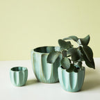 Jean Pot - Light Green - Small