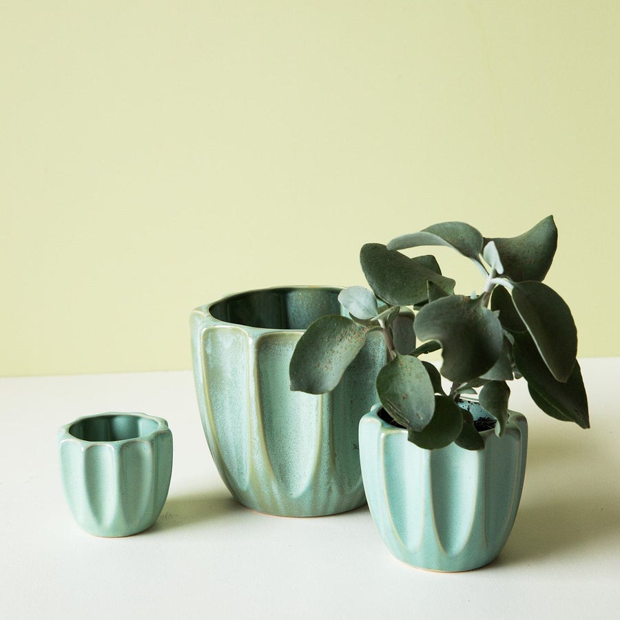 Jean Pot - Light Green - Small