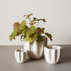 Jean Pot - Speckle Cream - Small