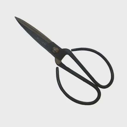 Large Black Herb Scissors