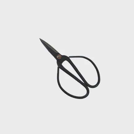 Small Black Herb Scissors