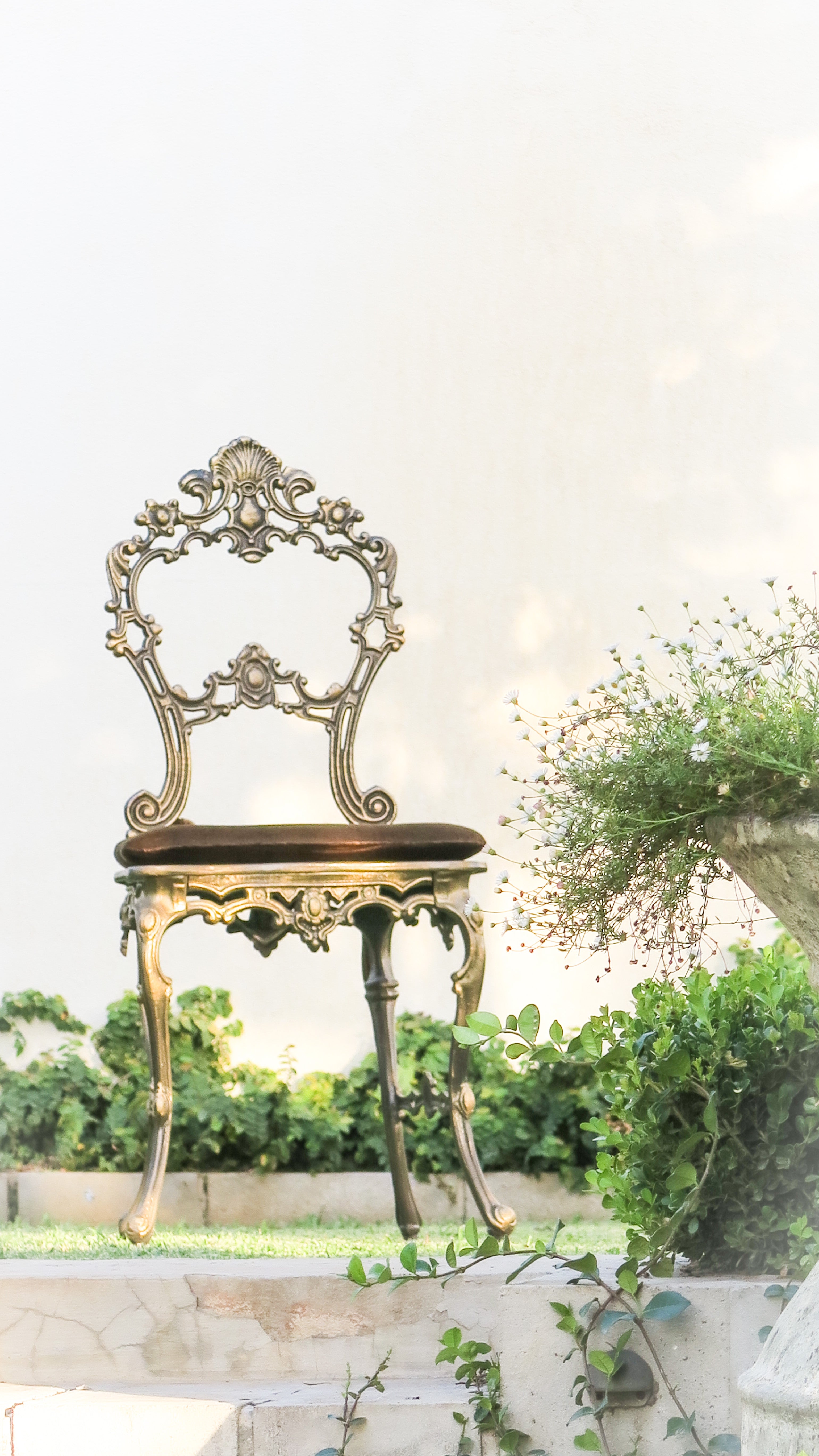 The 'Belle' Cast Iron Boudoir Dining Chair