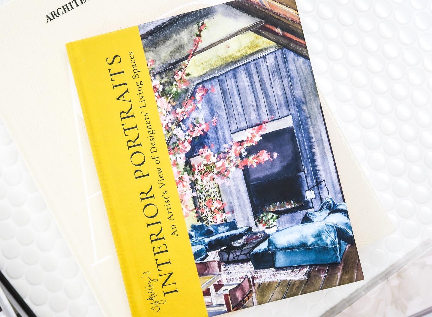 SJ Axelby's Interior Portraits