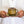 Valentina Cup and Saucer Set - Pecan (Mustard Brown)
