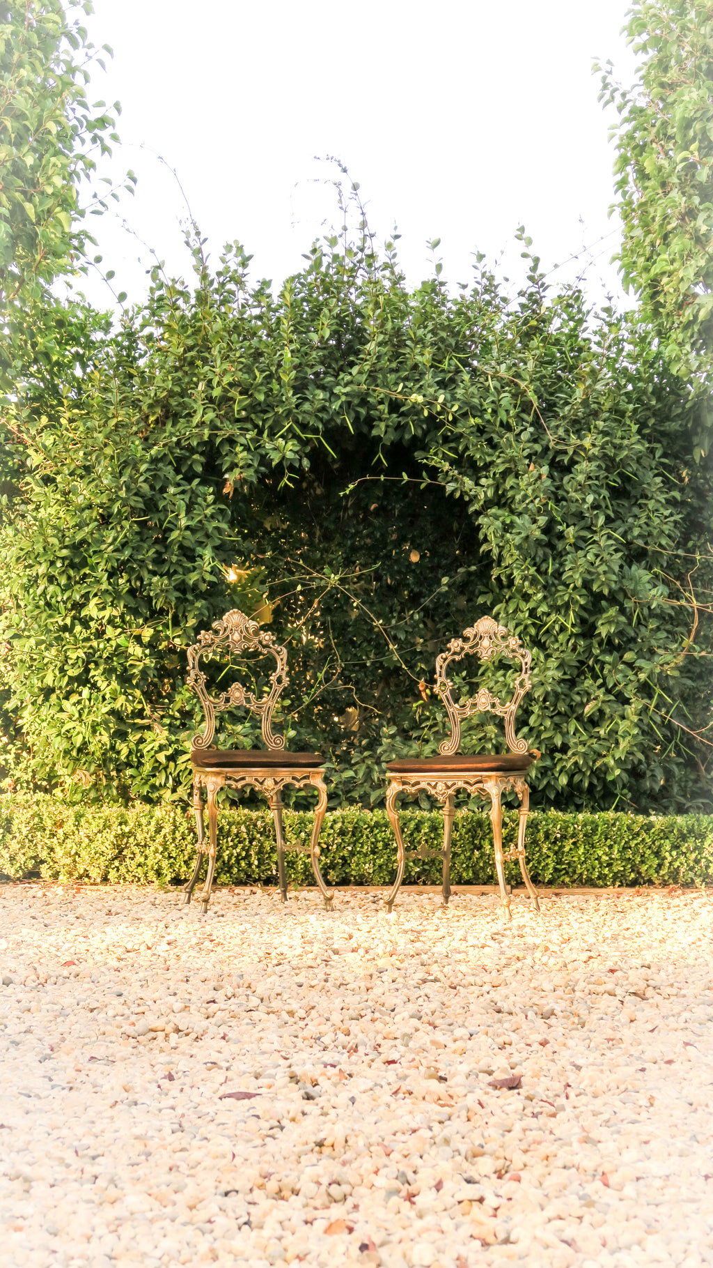 The 'Belle' Cast Iron Boudoir Dining Chair