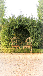 The 'Belle' Cast Iron Boudoir Dining Chair